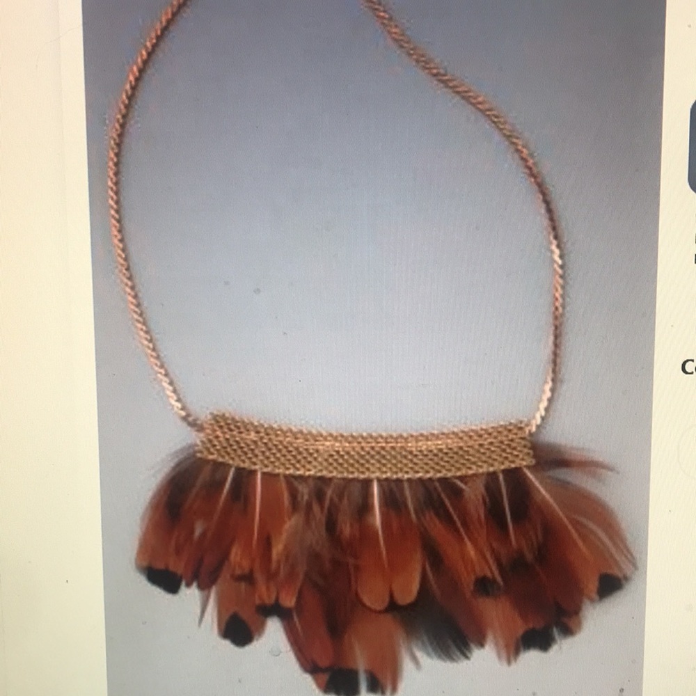 Serefina Short Mesh Feather Necklace from SHOPBOP.